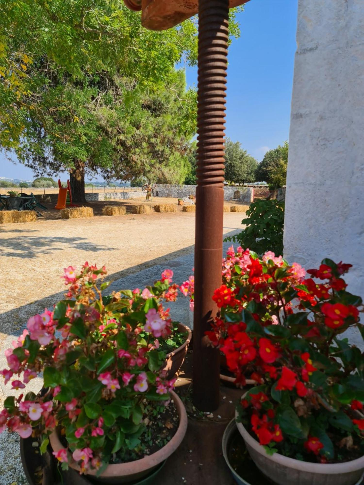 Masseria Gianca チステルニーノ エクステリア 写真